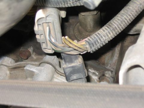1988 Ford Bronco - Close-up view of an engine wiring harness connector with several wires attached.