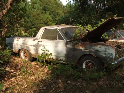1966 Ford Ranchero - A weathered 1966 Ford Ranchero sits abandoned, partially consumed by nature, with its hood ajar.