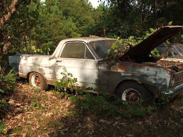 White 1966 Ford Ranchero with rust and overgrown vegetation, hood open, parked in a wooded area