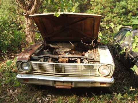 1966 Ford Ranchero - This 1966 Ford Ranchero sits abandoned, its hood propped open to reveal the engine.