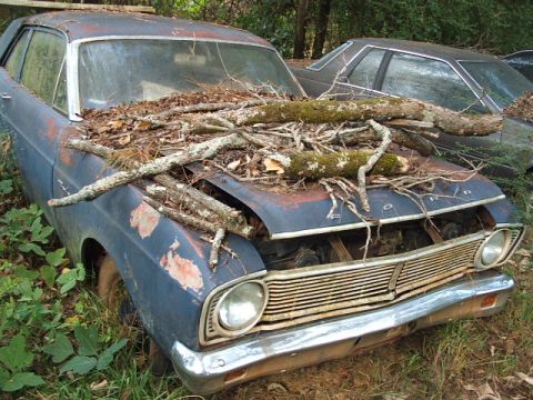 1966 Ford Ranchero - This weathered blue sedan, likely a 1966 Ford Falcon, sits abandoned with debris piled on its hood.