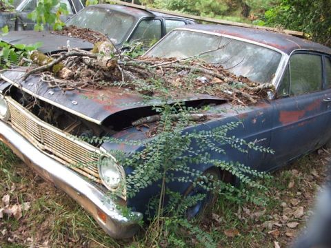 1966 Ford Ranchero - A neglected 1966 Ford Ranchero sits in a junkyard, covered in debris and vegetation.