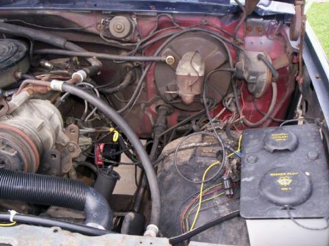 1986 Ford Bronco - Newest Photos of my Engine Bay. Right View