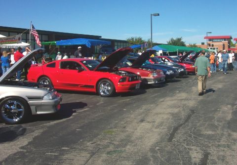1979 Ford F-150 - A row of cars, including a red Ford Mustang, are displayed with their hoods up at an outdoor event.