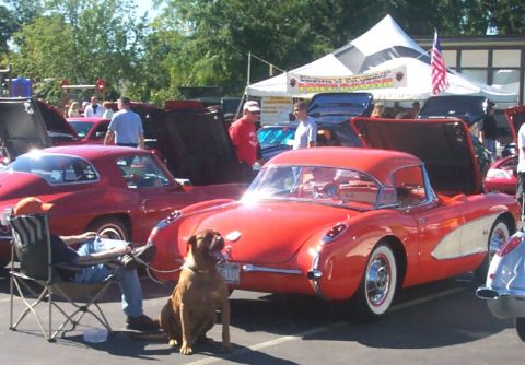 1979 Ford F-150 - A dog sits patiently next to a classic red Corvette at an outdoor car show.