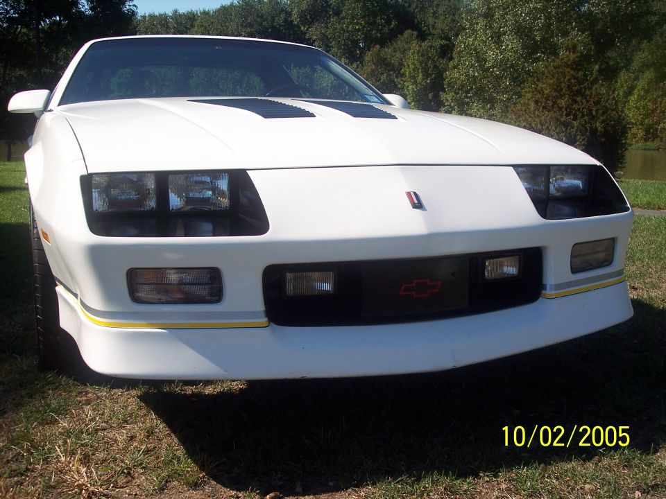 White Chevrolet Camaro front view with black hood louvers and yellow pinstripe on grass