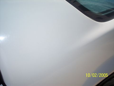 1988 Chevrolet Camaro - A close-up of a white car's hood and windshield edge, with a date watermark.