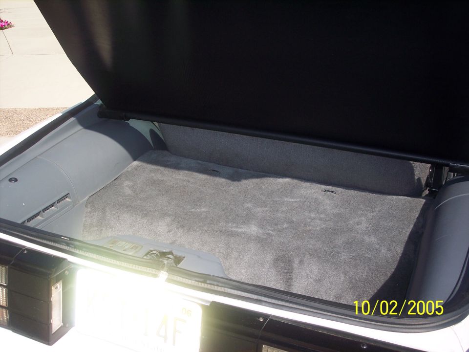 Car trunk interior with gray carpet. License plate visible