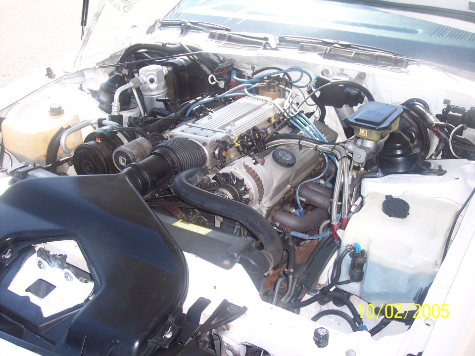 Chevrolet V8 engine bay with tuned port injection plenum and blue spark plug wires