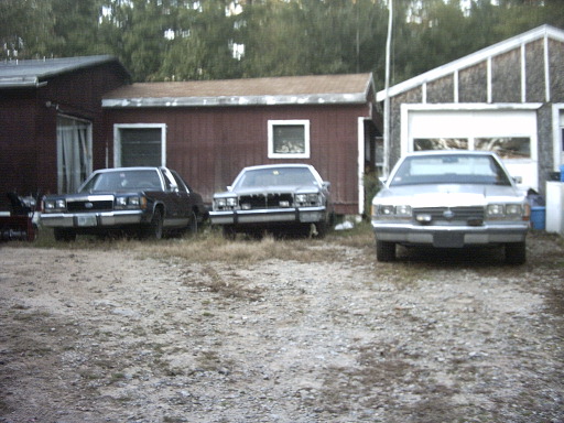 Three sedans parked in front of a garage and a shed