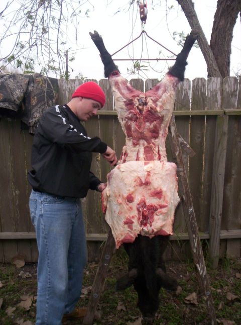 1986 Ford Bronco - Skinning a 200+lb Russion Boar