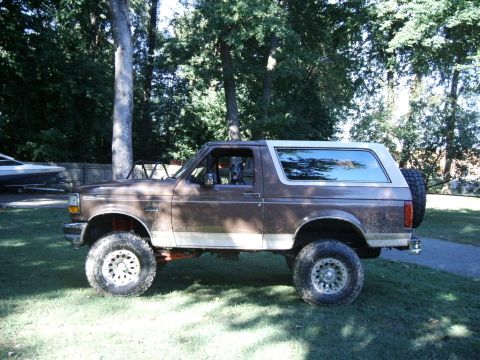 1993 Ford Bronco - This lifted Ford Bronco is parked outside on a sunny day, with a dog visible inside.