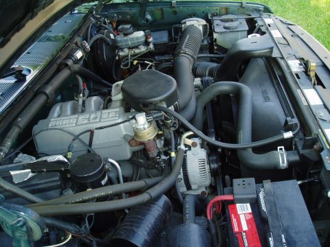 1995 Ford Bronco - no mods either