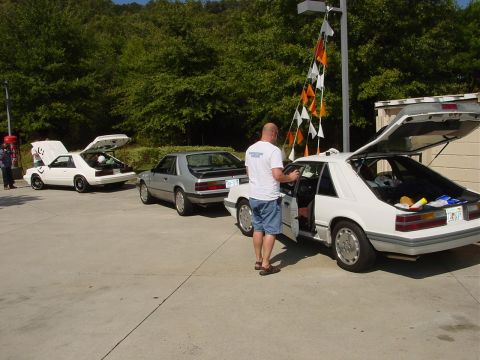 1986 Ford Mustang - Three Ford Mustangs are lined up with their trunks open at an outdoor event.