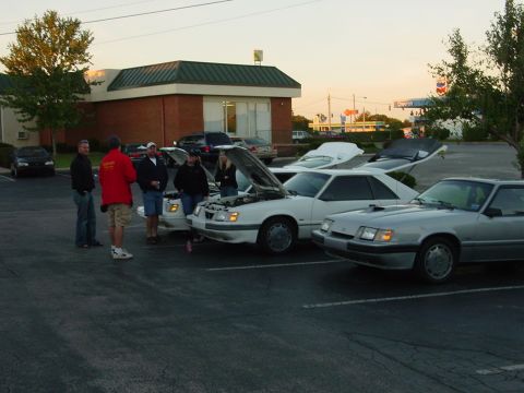 1986 Ford Mustang - Several Ford Mustangs are gathered in a parking lot, with hoods open on some of the white models.