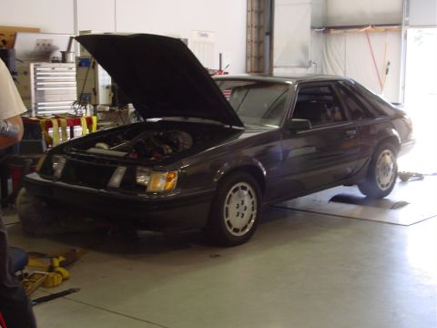 1986 Ford Mustang - A dark Ford Mustang is parked in a garage with its hood open, showing the engine bay.