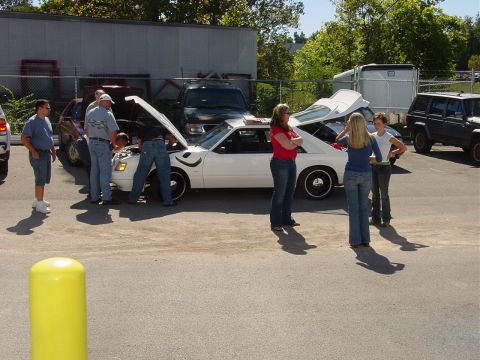 1986 Ford Mustang - People inspect a white 1986 Ford Mustang with its hood open at an outdoor gathering.
