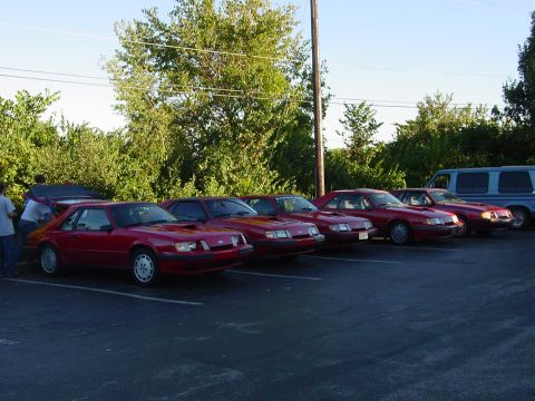 1986 Ford Mustang - A row of red 1986 Ford Mustangs are parked together at an outdoor event.