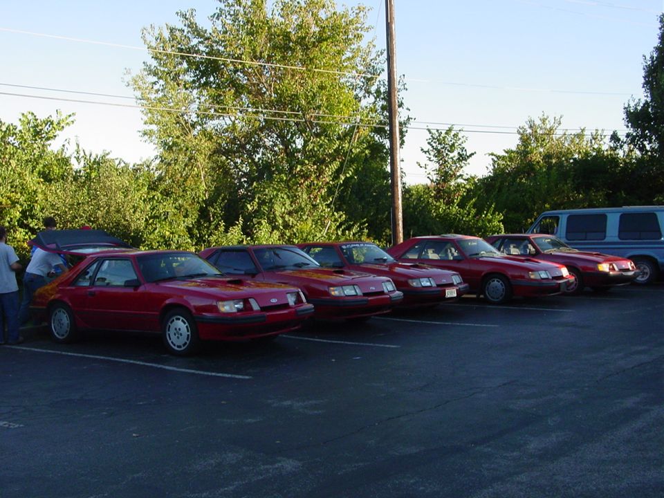 Red 1986 Ford Mustang coupe parked in a line with other Mustangs