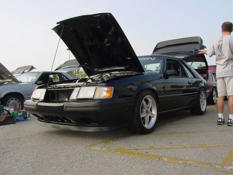 1986 Ford Mustang - Black 1986 Ford Mustang coupe at a car show with hoods and trunks open.