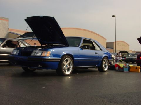 1986 Ford Mustang - A blue coupe is parked with its hood open, alongside other vehicles at an outdoor event.