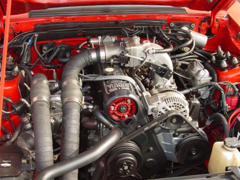 1986 Ford Mustang - The engine bay of a 1986 Ford Mustang, a 'Cobra Fuel Injection Turbo' label on the engine cover.