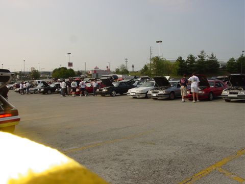 1986 Ford Mustang - A gathering of Ford Mustangs, likely a reunion event, with owners socializing around their vehicles.
