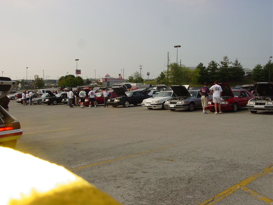 Many Ford Mustangs parked in a lot with hoods up, people milling around