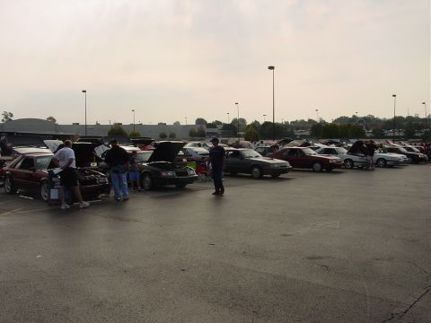 1986 Ford Mustang - A collection of Ford Mustangs are gathered in a parking lot, some with hoods open.