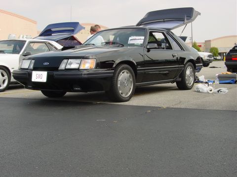 1986 Ford Mustang - A black 1986 Ford Mustang SVO coupe is displayed at a reunion event, with its trunk open.