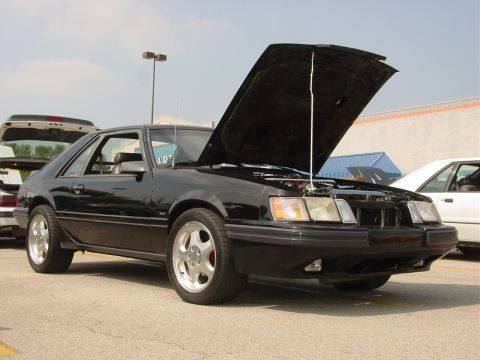 1986 Ford Mustang - A black 1987 Ford Mustang is displayed with its hood open at an outdoor event.
