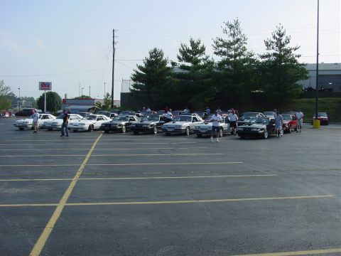 1986 Ford Mustang - A collection of Ford Mustang Fox Body models are gathered in a parking lot with several people present.
