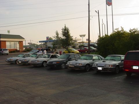 1986 Ford Mustang - Multiple Ford Mustangs are parked in a lot near a gas station.