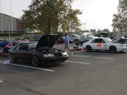1986 Ford Mustang - Two Ford Mustangs are parked at an outdoor event, one with its hood open, displaying its engine.