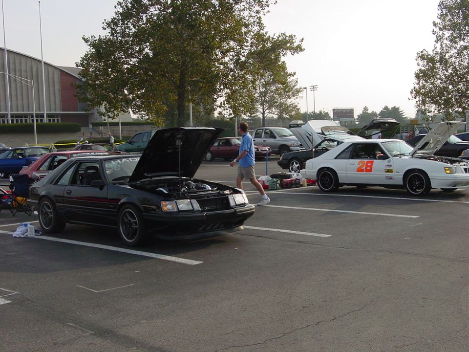 Black 1986 Ford Mustang with hood open, parked next to a white Mustang with number 28