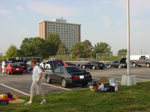 1986 Ford Mustang - Several Ford Mustangs are gathered in a parking lot with a tall building in the background.
