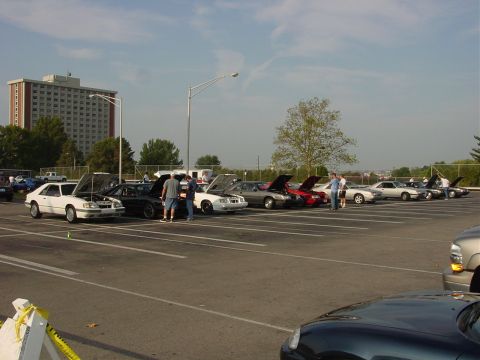 1986 Ford Mustang - A collection of Ford Mustangs from 1986 are displayed with their hoods open at an outdoor event.