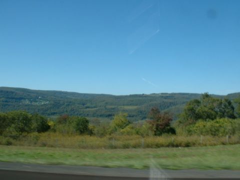 1978 Ford Mustang II - A wide view of rolling hills and trees under a clear blue sky, with a road in the foreground.