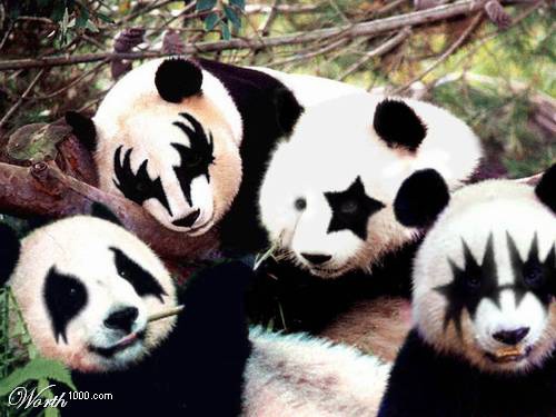 Four giant pandas with KISS-style face paint photoshopped onto their faces in forest