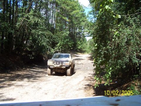 1987 Ford Bronco - Dirt road driving through a wooded area.