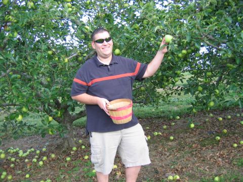 1985 Ford Crown Victoria LTD - A man enjoys apple picking on a sunny day, surrounded by trees laden with fruit.