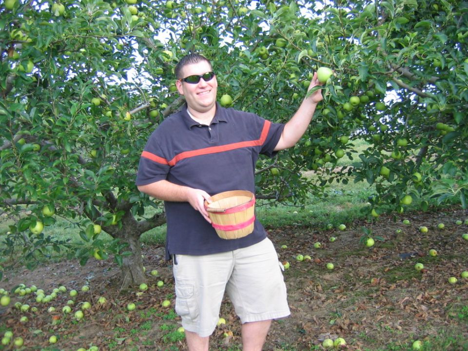 Man in sunglasses and a polo shirt holds a basket while reaching for an apple on a tree. Fallen apples are scattered on the ground