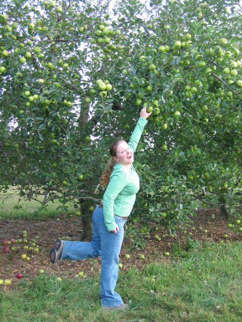 1985 Ford Crown Victoria LTD - A woman enjoys a day of apple picking in an orchard.