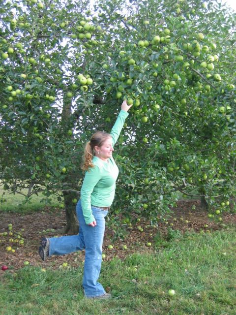 1985 Ford Crown Victoria LTD - A woman in a green shirt and jeans picks apples from a tree in an orchard.