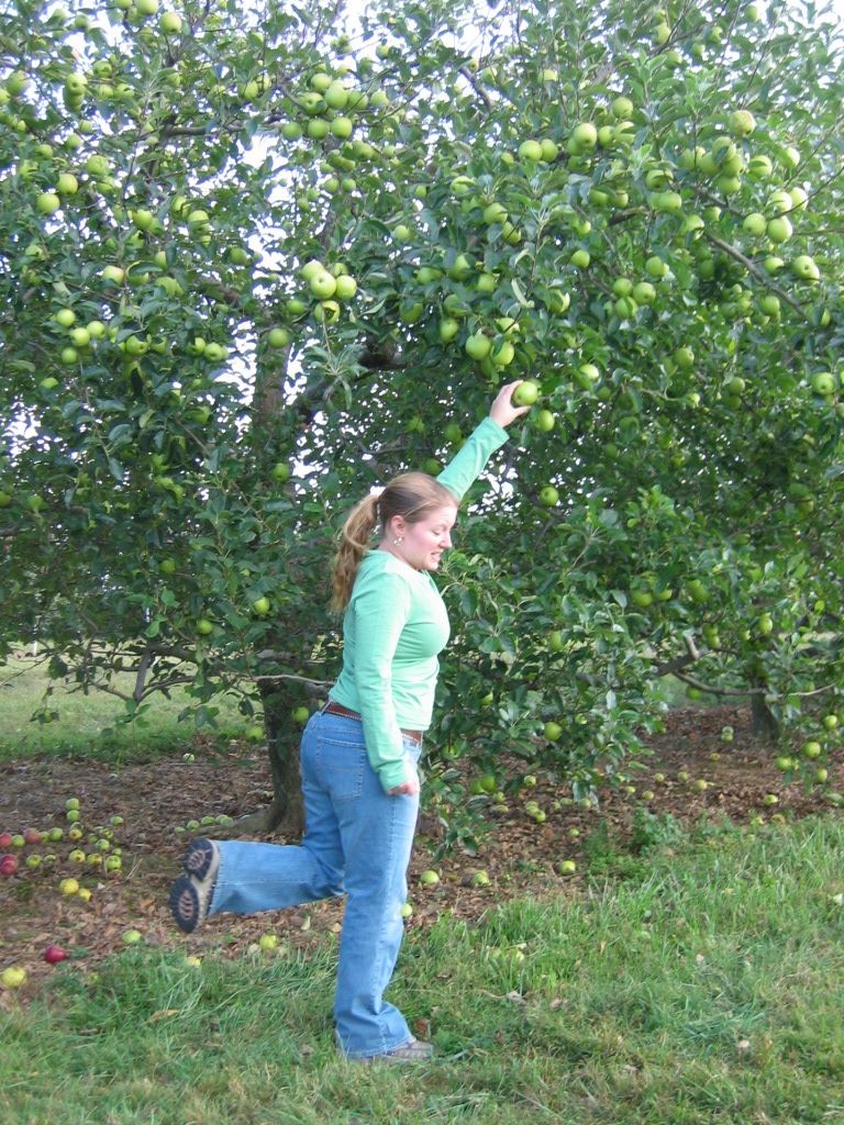 Woman in a green shirt and blue jeans reaching for apples on a tree with fallen apples on the ground