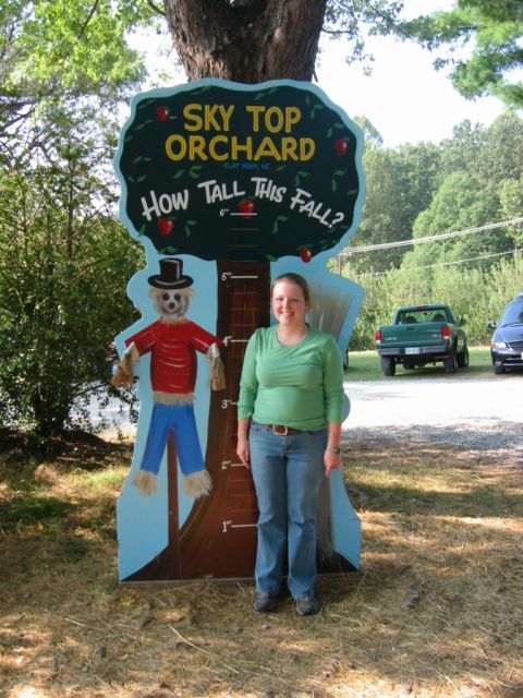1985 Ford Crown Victoria LTD - A person poses next to a "How Tall This Fall?" height chart at Sky Top Orchard.