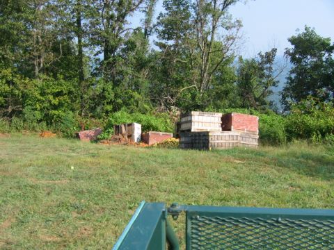 1985 Ford Crown Victoria LTD - Crates and fruit are scattered on a grassy slope, with trees forming a dense backdrop.