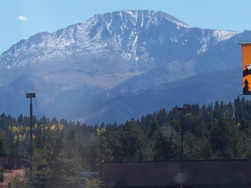 Snow-capped mountain behind a forest, with a banner on the right showing an eagle and trees