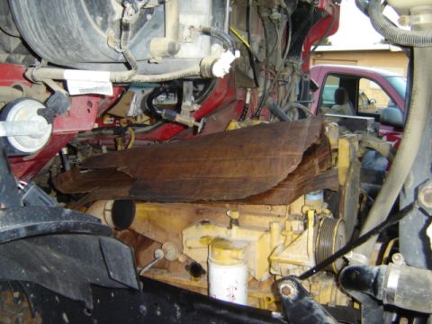 1992 Ford Bronco - The engine compartment of a vehicle shows a yellow engine block and damaged brown insulation, with a red pickup truck in the background.