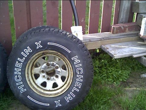1981 Ford Bronco - New to me anyway!Before